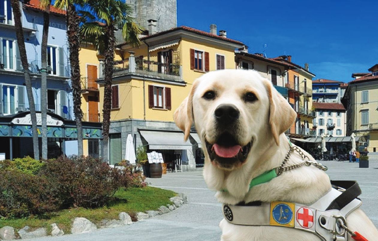 Questa domenica Lions Day a Verbania Pallanza