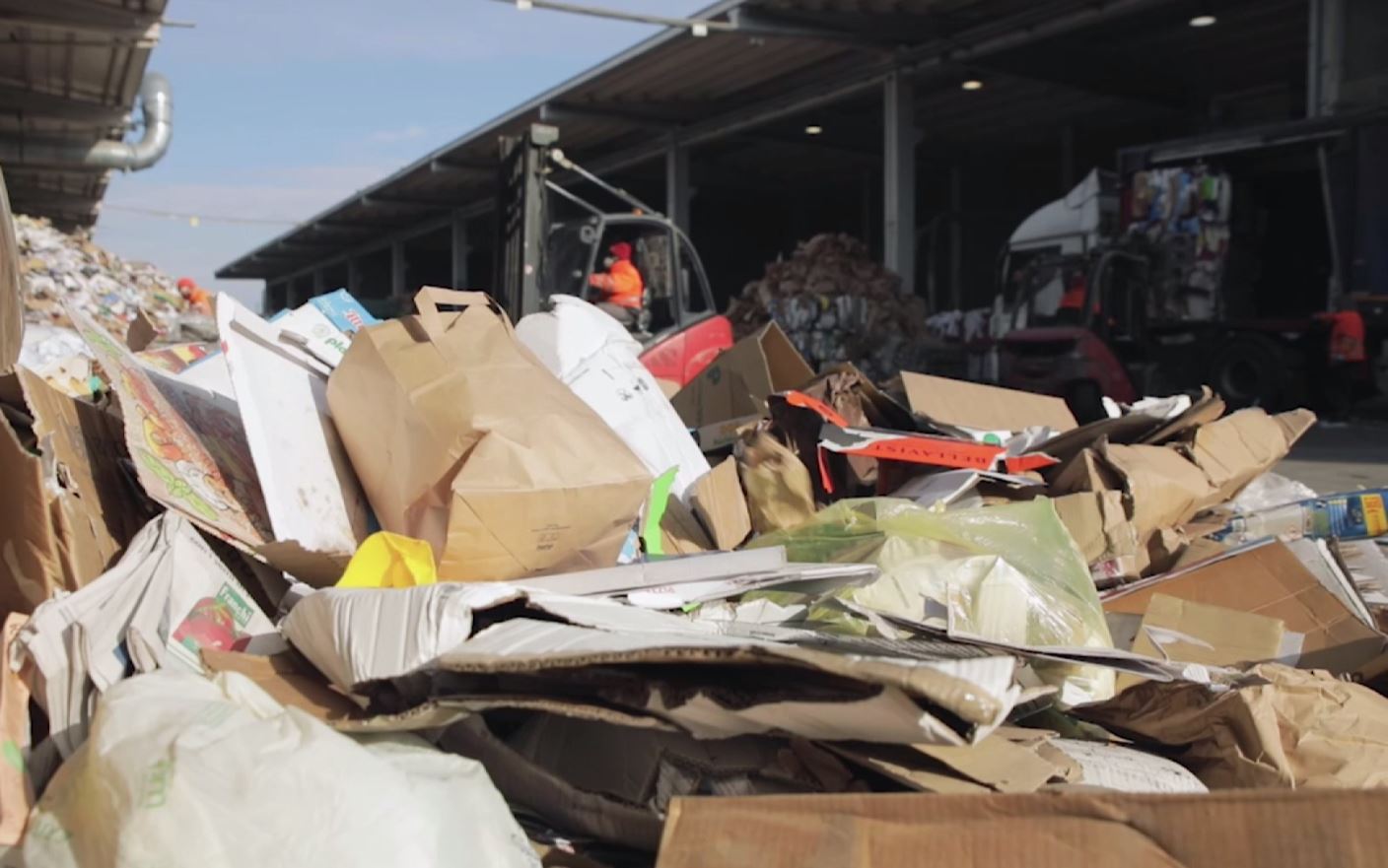 L’amministratore di Conservco Grieco: “I 12 licenziamenti sono stati fatti da Sea”, dopo che la società ha perso il subappalto