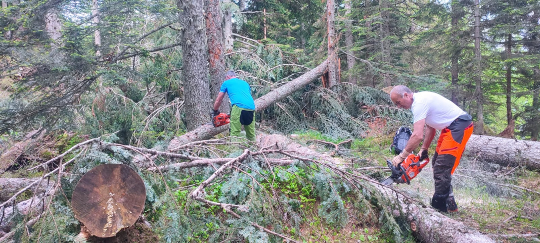 Cambia il percorso del MEHT 2024