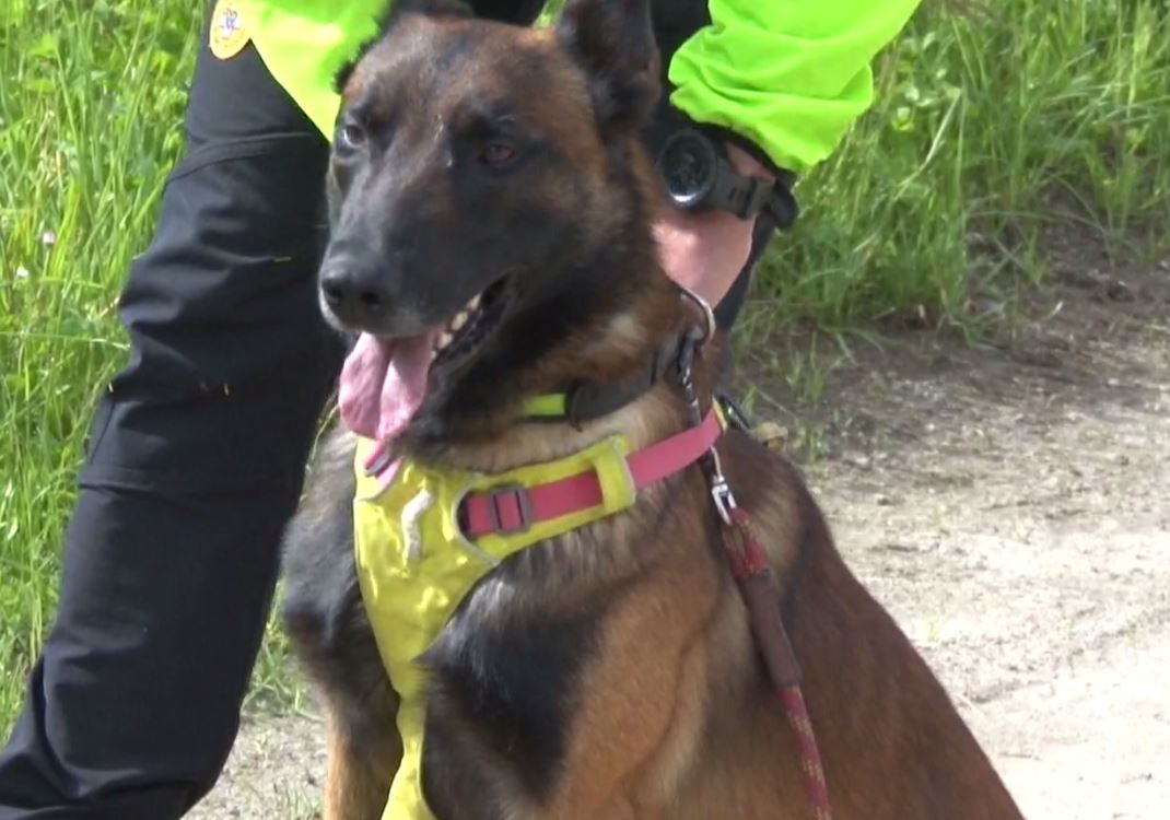 In Valle Antigorio il 35° corso per gruppi cinofili del Soccorso Alpino
