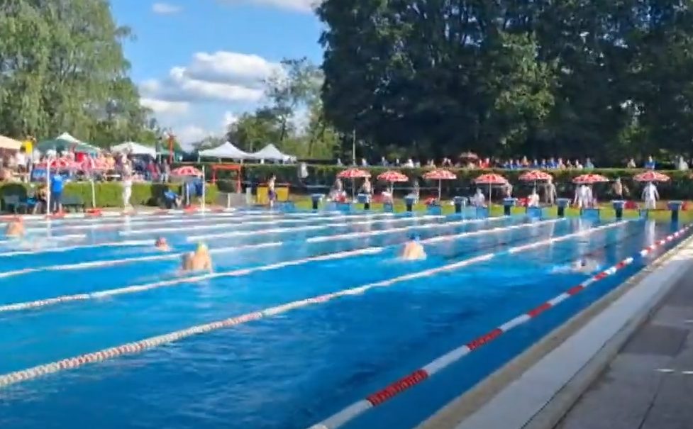 Ai Criteria Matilde Fava