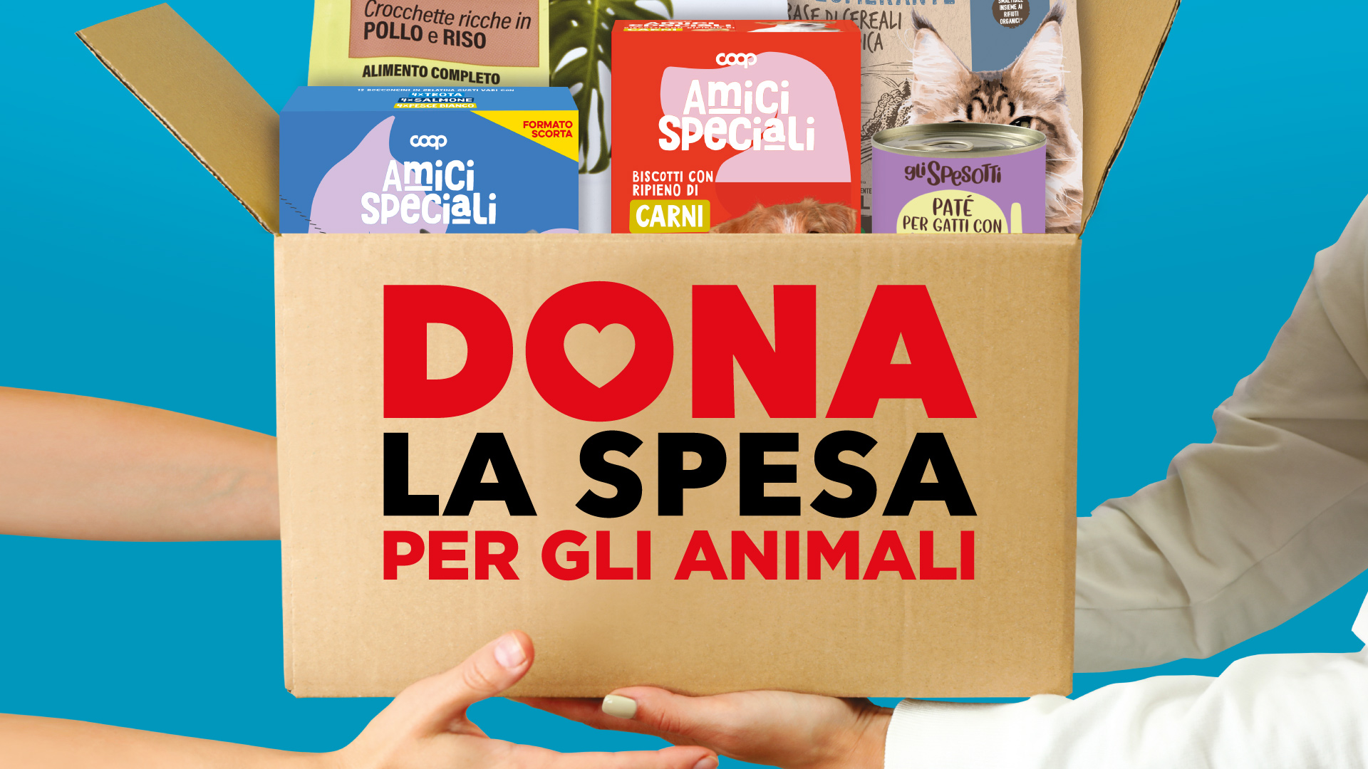 Nei supermercati Nova Coop sabato "Dona la spesa" a favore dei rifugi per animali abbandonati
