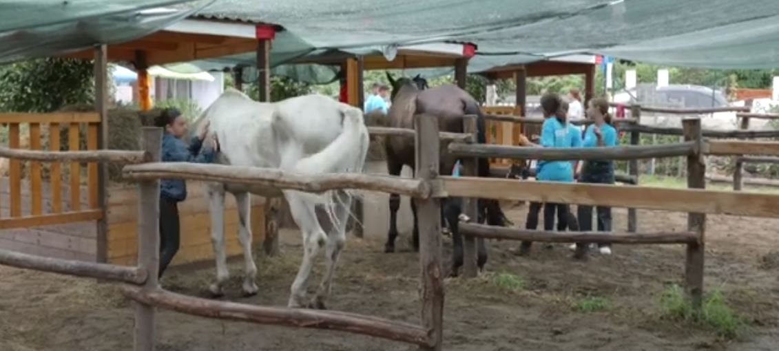 Siamo tornati a Renco per il progetto Cavallo Amico dell'Associazione Nazionale Carabinieri Verbania