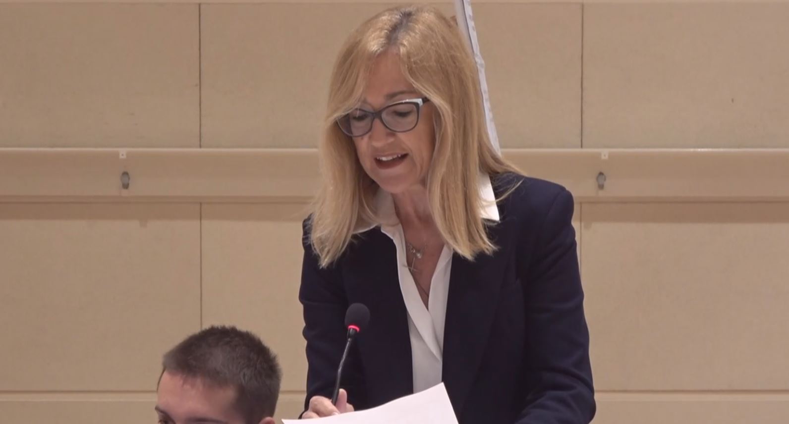 Viabilità, Forza Italia: "Per il cantiere di Cannobio bisogna fare lavoro di squadra"