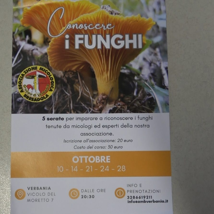 Le iniziative dell'Associazione Micologica Bresadola