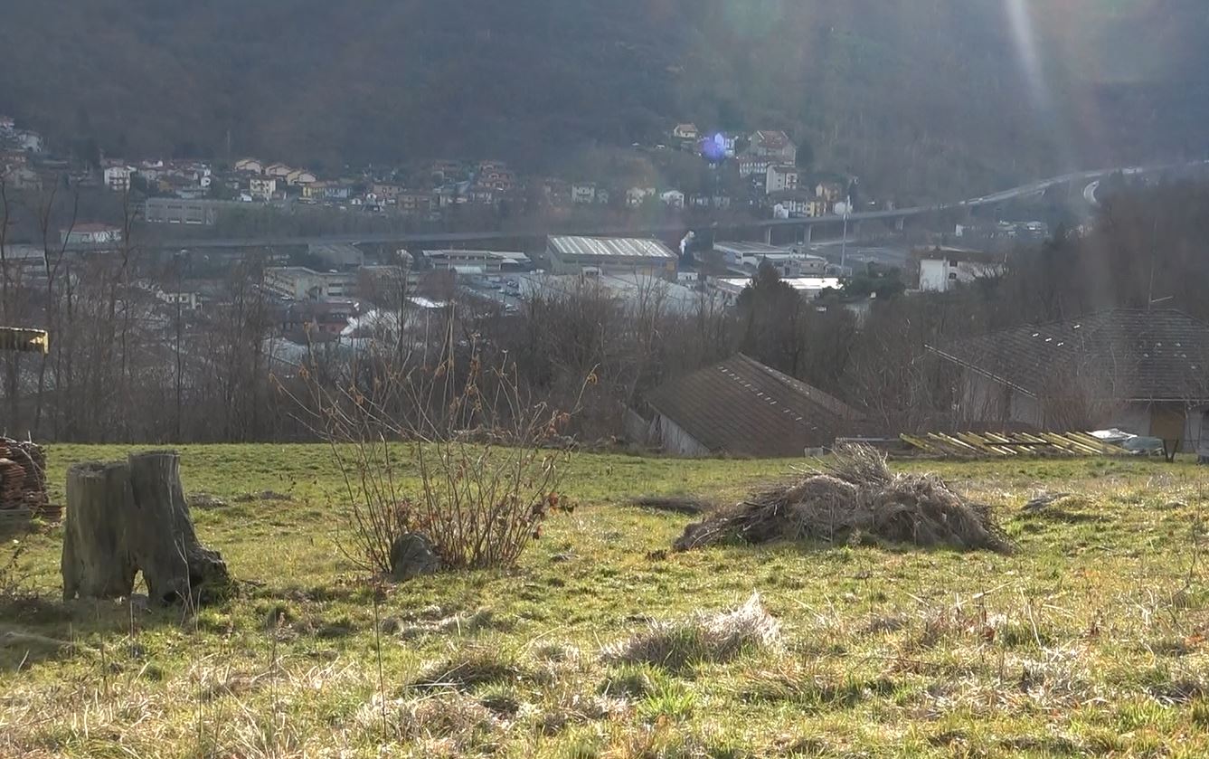Danni fauna selvatica, la Regione Piemonte stanzia 3 milioni e 605 mila euro per le aziende agricole