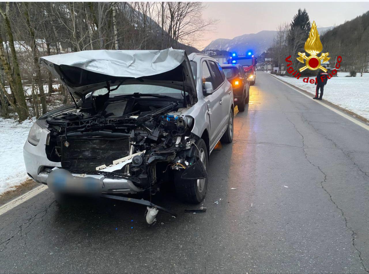 Scontro tra un'auto e un cervo questa mattina a Premia