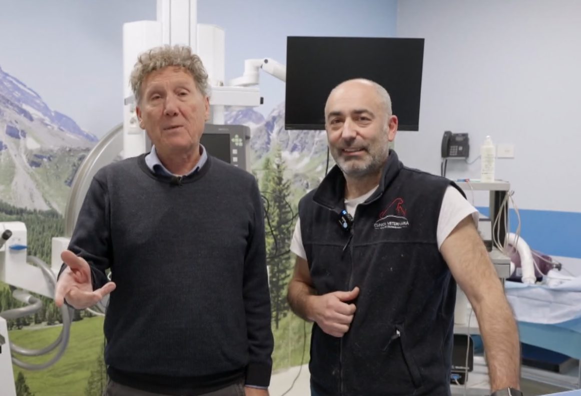 Il letargo invernale delle tartarughe a Storie a 4 zampe