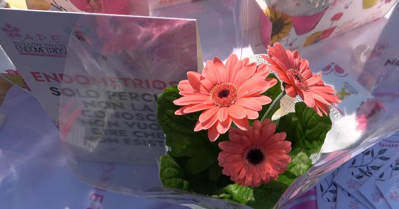 A Possaccio iniziativa per sostenere le donne con Endometriosi