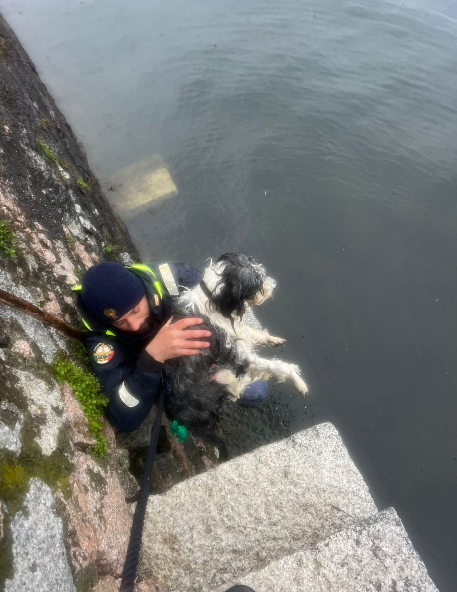Cane rischia di annegare nel lago, salvato dagli agenti della Squadra Acque Interne della Questura di Verbania