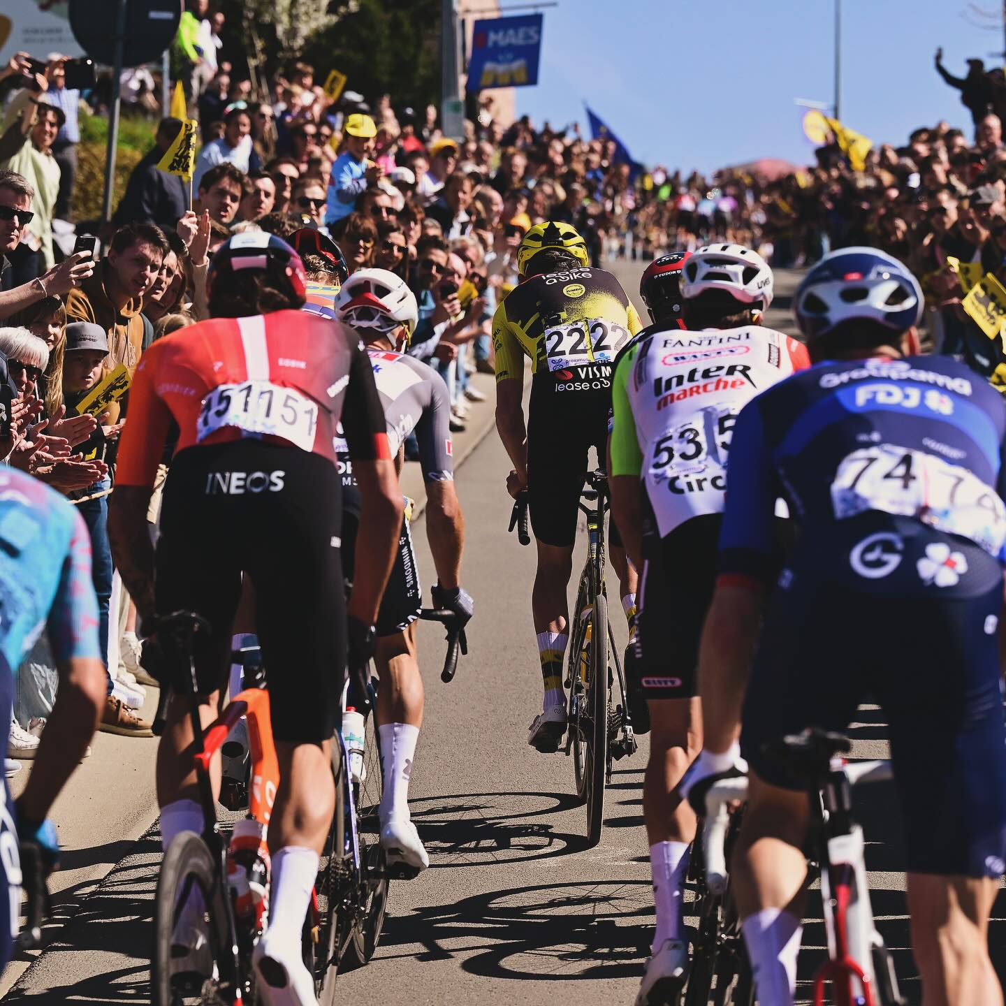 Ganna ottavo nella ‘Ronde Van Vlaanderen’ di Pogacar