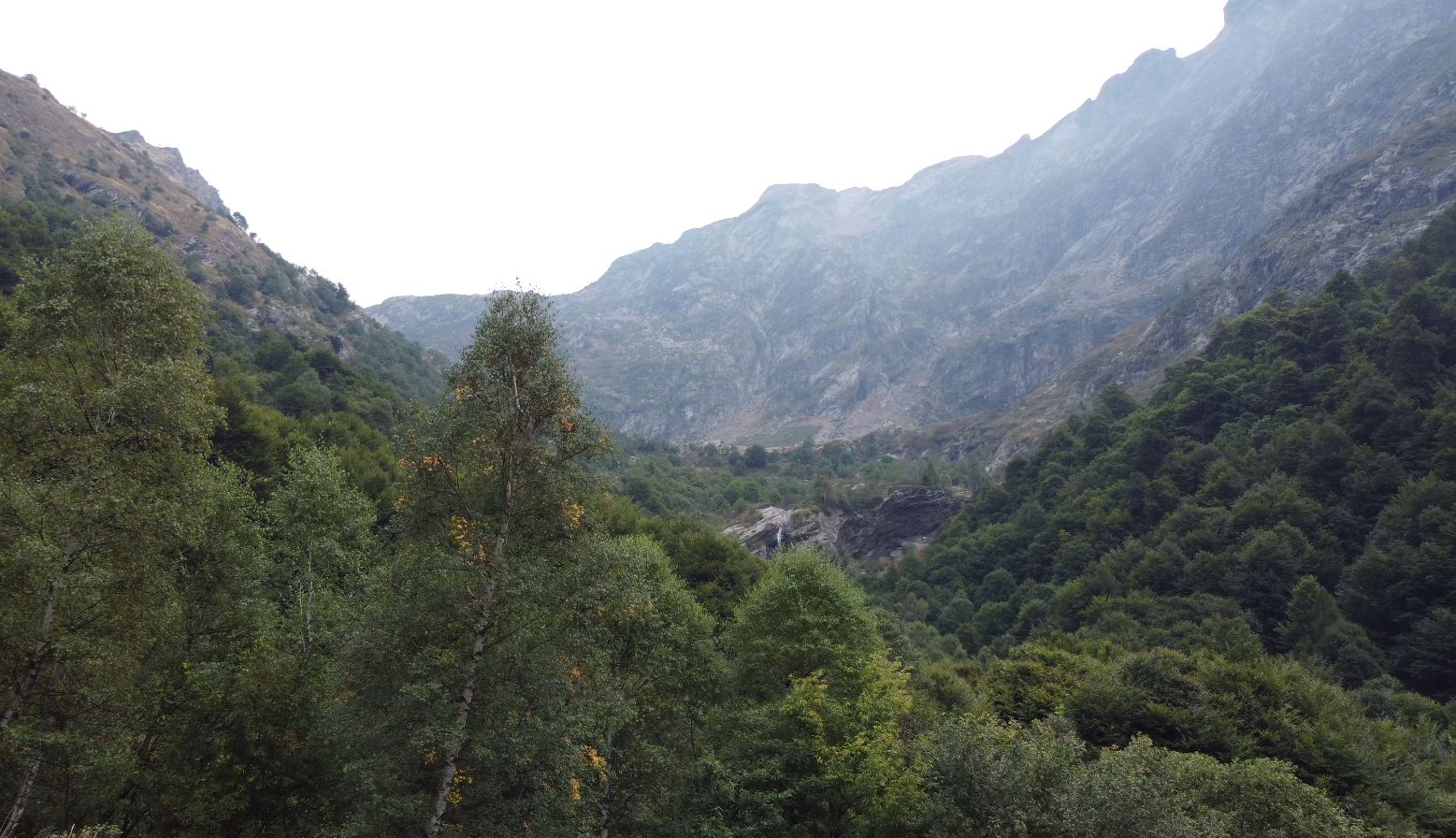 "C'era una volta... in Val Grande", il progetto per avvicinare le scuole al patrimonio naturale del territorio