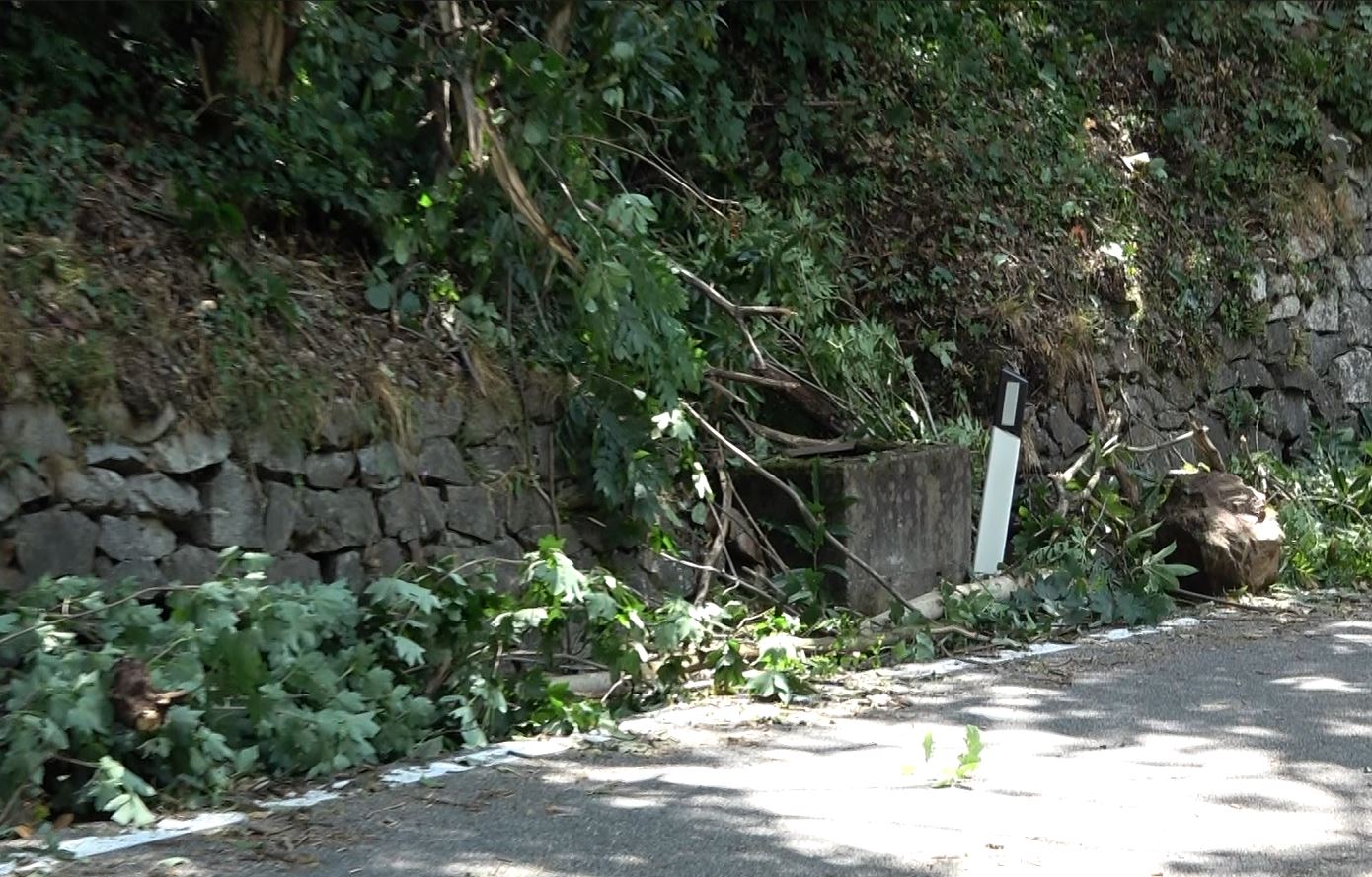 SP 46, si transita a senso unico. Semaforo regola il transito