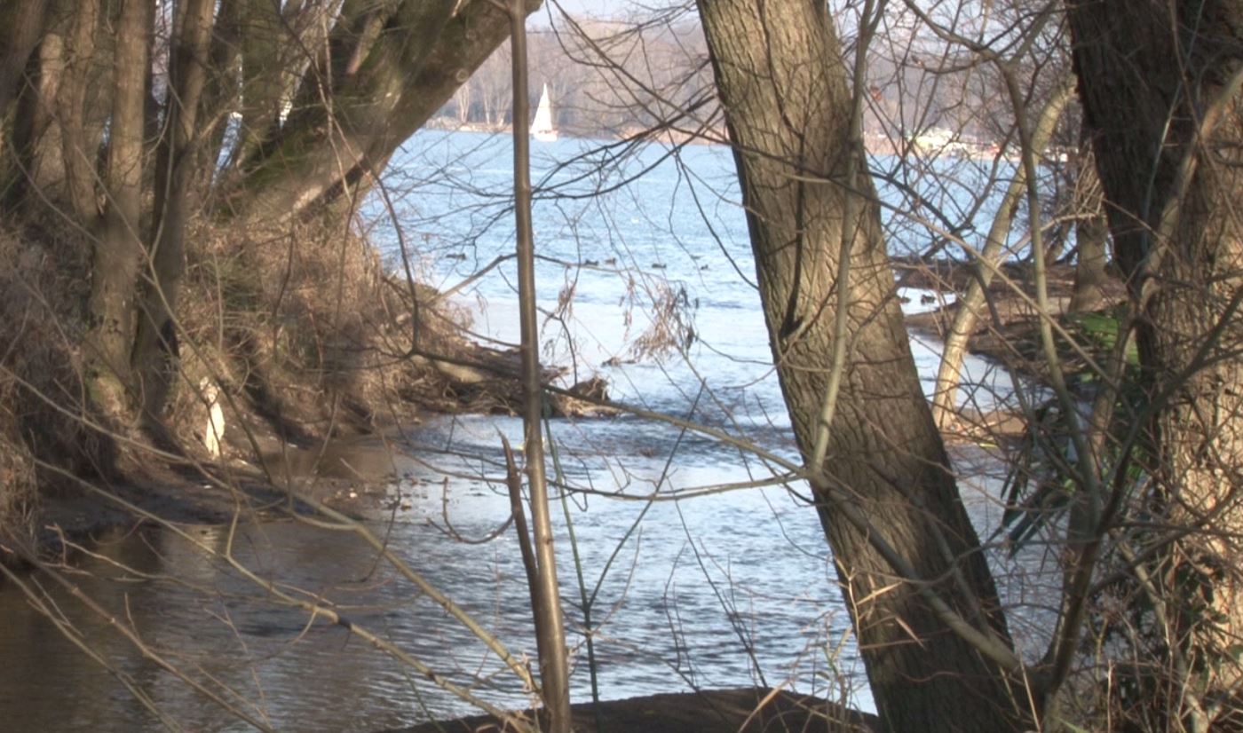 Divieto di balneazione ad Arona sul Lago Maggiore