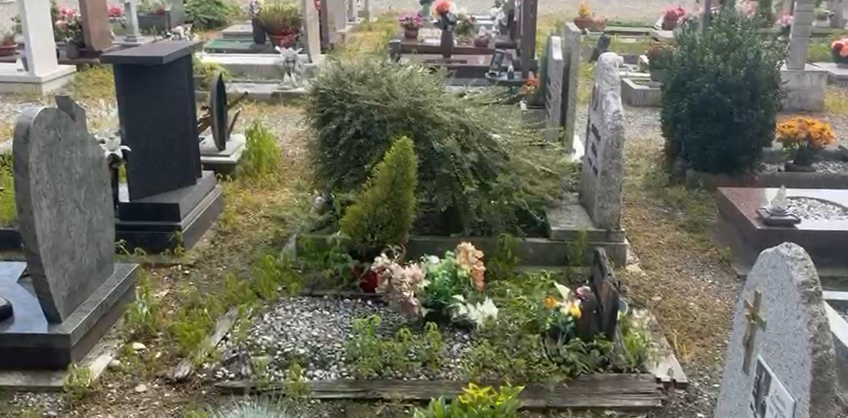 Segnalato da Voi: il degrado nel cimitero di Cireggio di Omegna