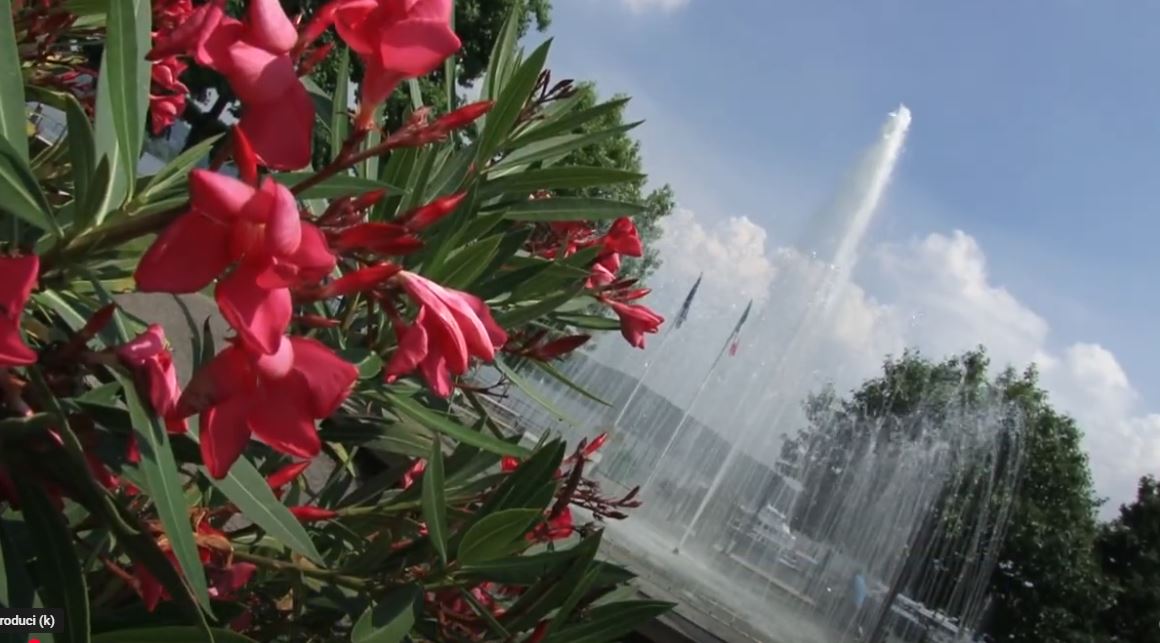 Ad Arona si discute sul futuro della fontana del Millennio