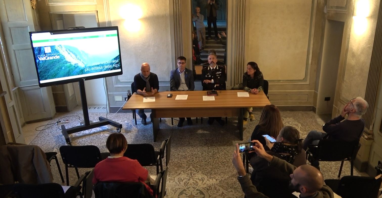 Il Parco Val Grande avvia progetto per il monitoraggio dell'orso e dei lupi presenti nell'area protetta