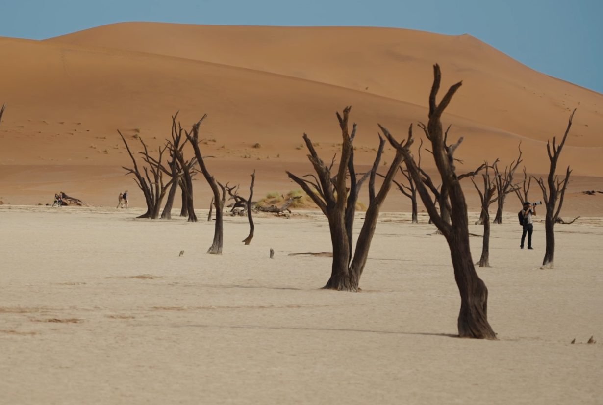 Passione viaggio: una indimenticabile avventura in Namibia