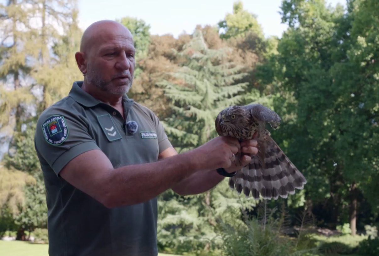 Il drammatico incontro con la processionaria per il cagnolino Frido a Storie a 4 zampe