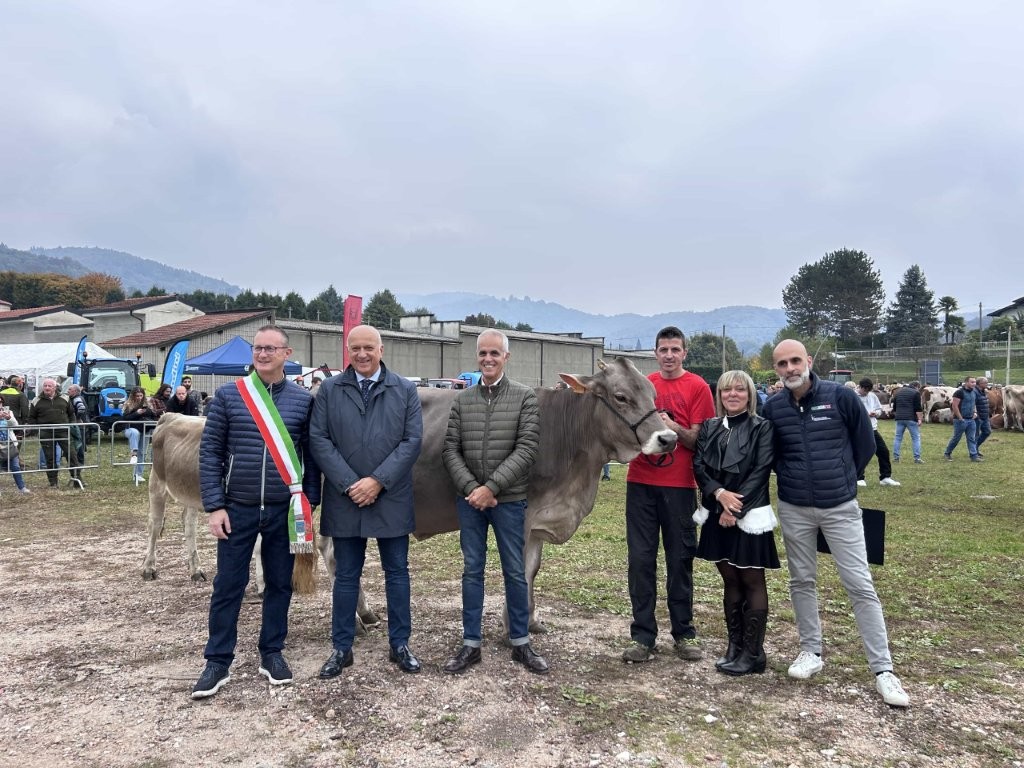 Record di presenze ad Armeno per la 66a edizione della razza Bruna Alpina