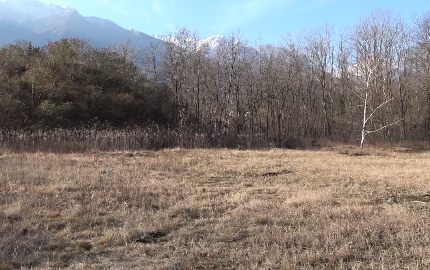 Bosco dello spaccio scoperto a Cuzzago