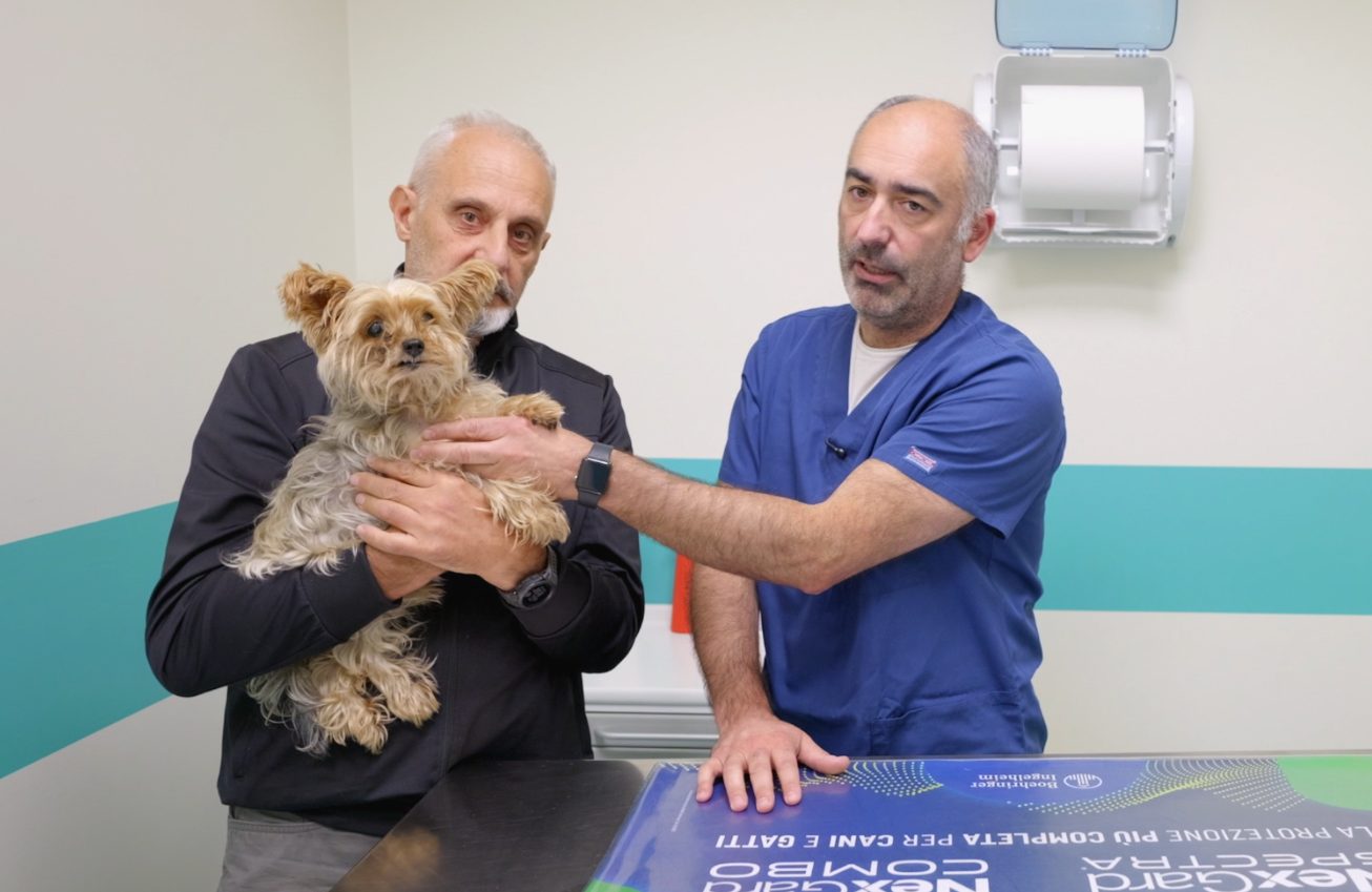 Le disavventure del coniglietto Trippy a Storie a 4 zampe