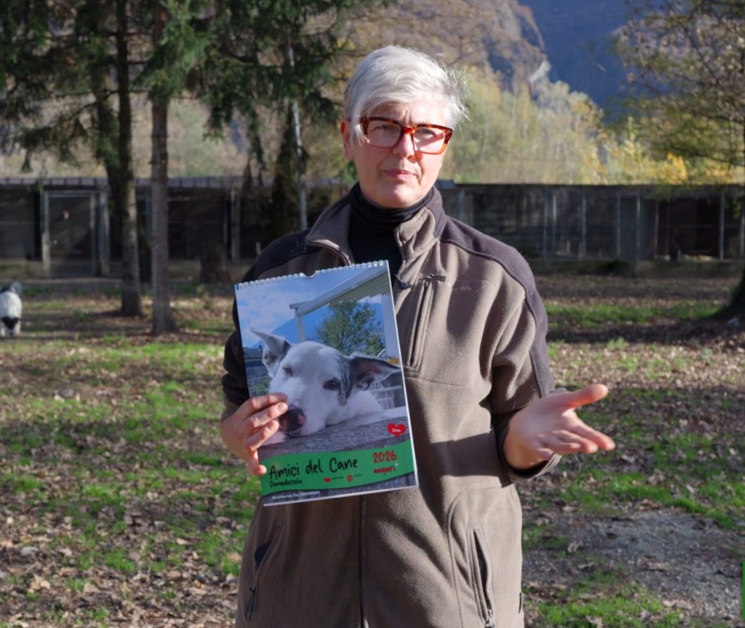 Storie a 4 zampe : il Calendario 2026 dell'associazione Amici del cane di Domodossola
