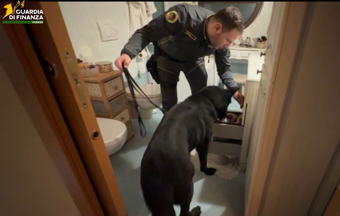 Operazione antidroga della Guardia di Finanza: un arresto anche a Verbania