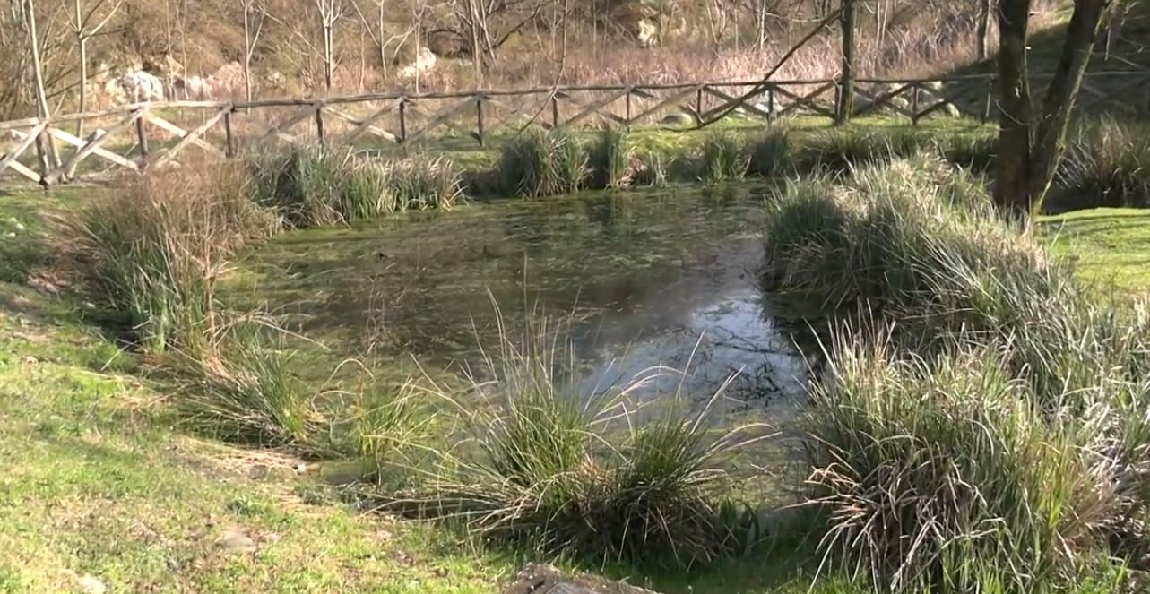 Casale Corte Cerro investe sul parco fluviale. Saranno implementati i servizi