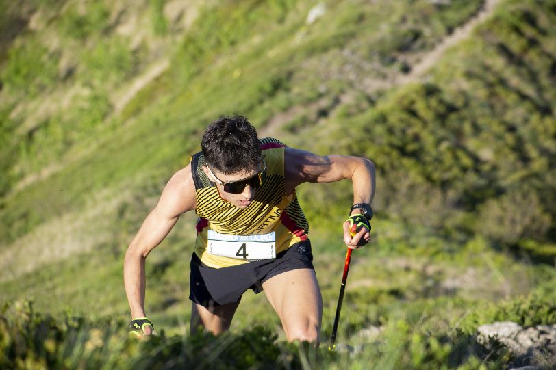 Immagine articolo