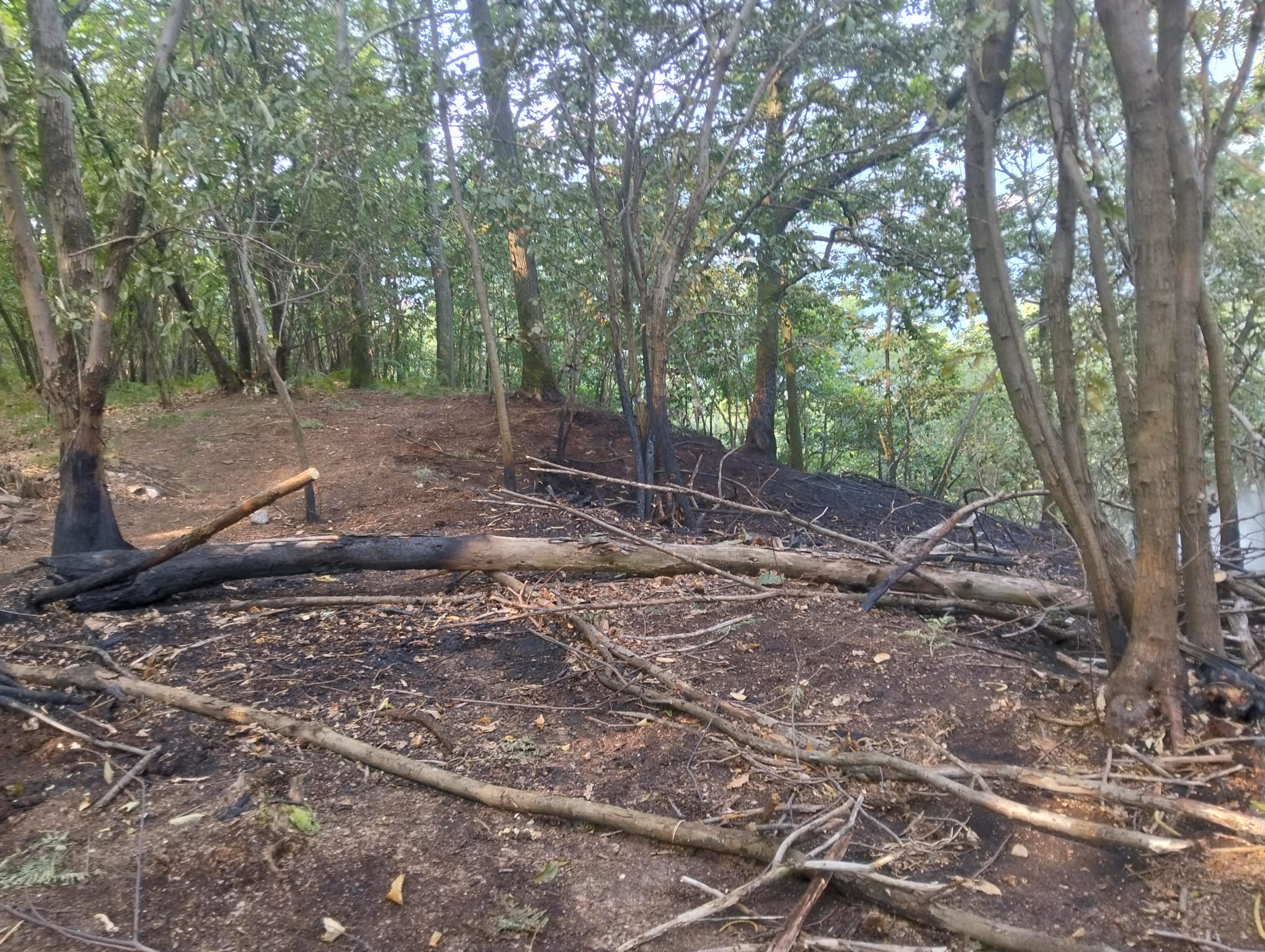 Incendio ad Agrano di Omegna