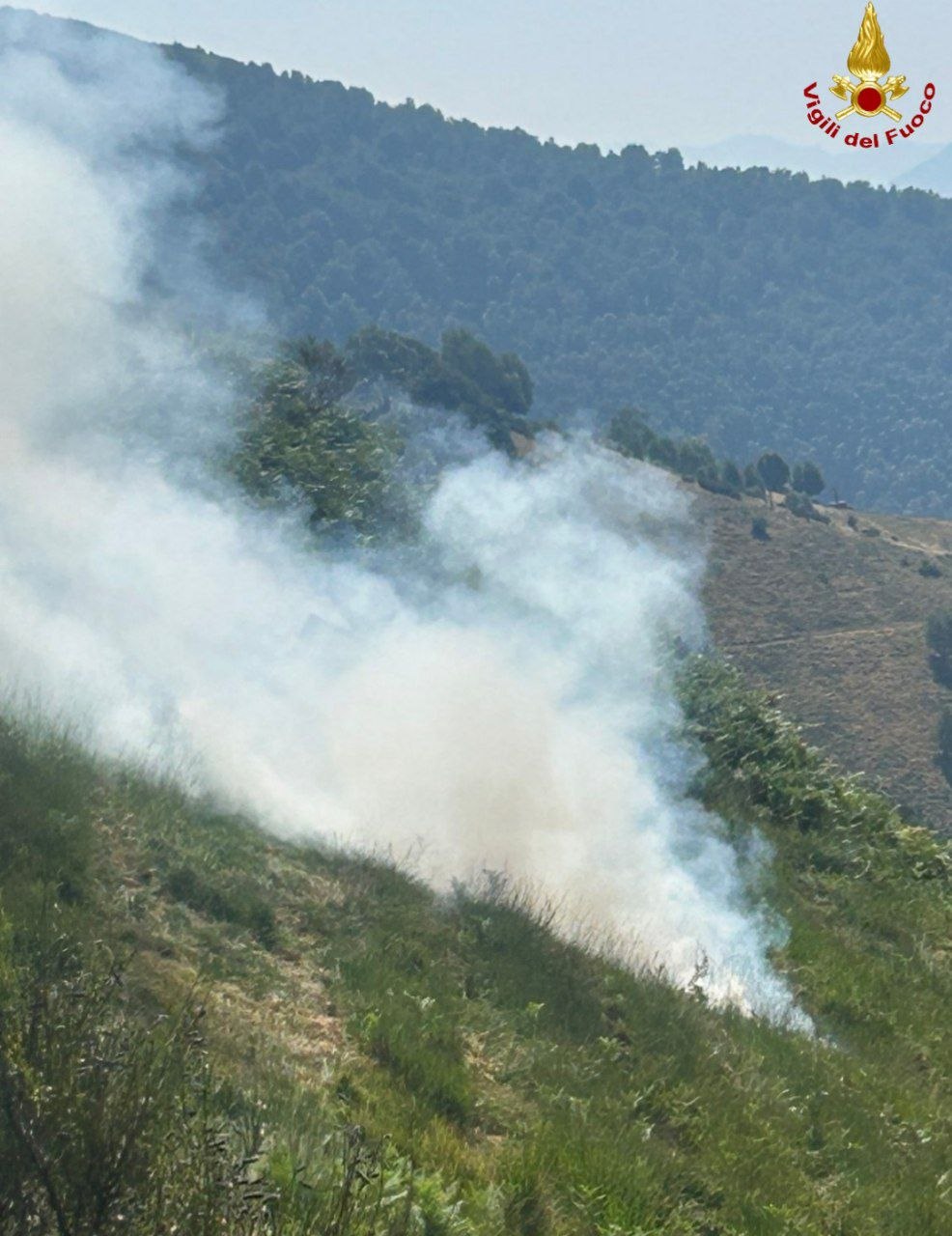Due incendi domati con prontezza dai Vigili del Fuoco