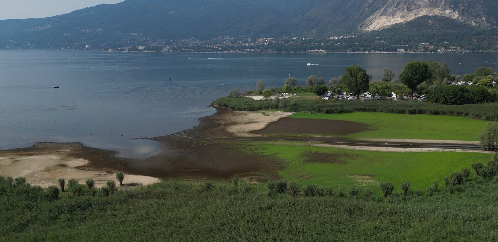 Eccezionale magra del Lago Maggiore, migliora la biodiversità del canneto di Fondotoce. Lo spiegano gli esperti del CNR