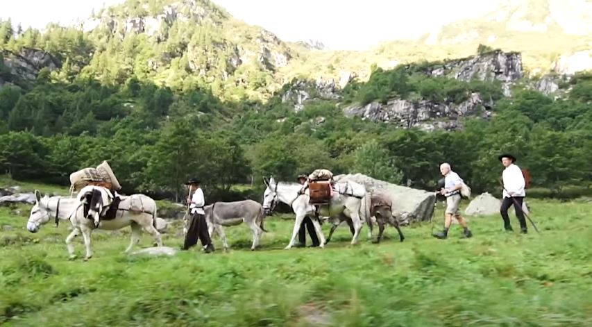 In arrivo i someggiatori della Sbrinz Route, giovedì sono attesi a Riale
