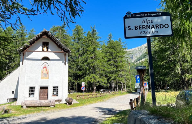 Val Bognanco, attivate ricerche per un cercatrice di funghi