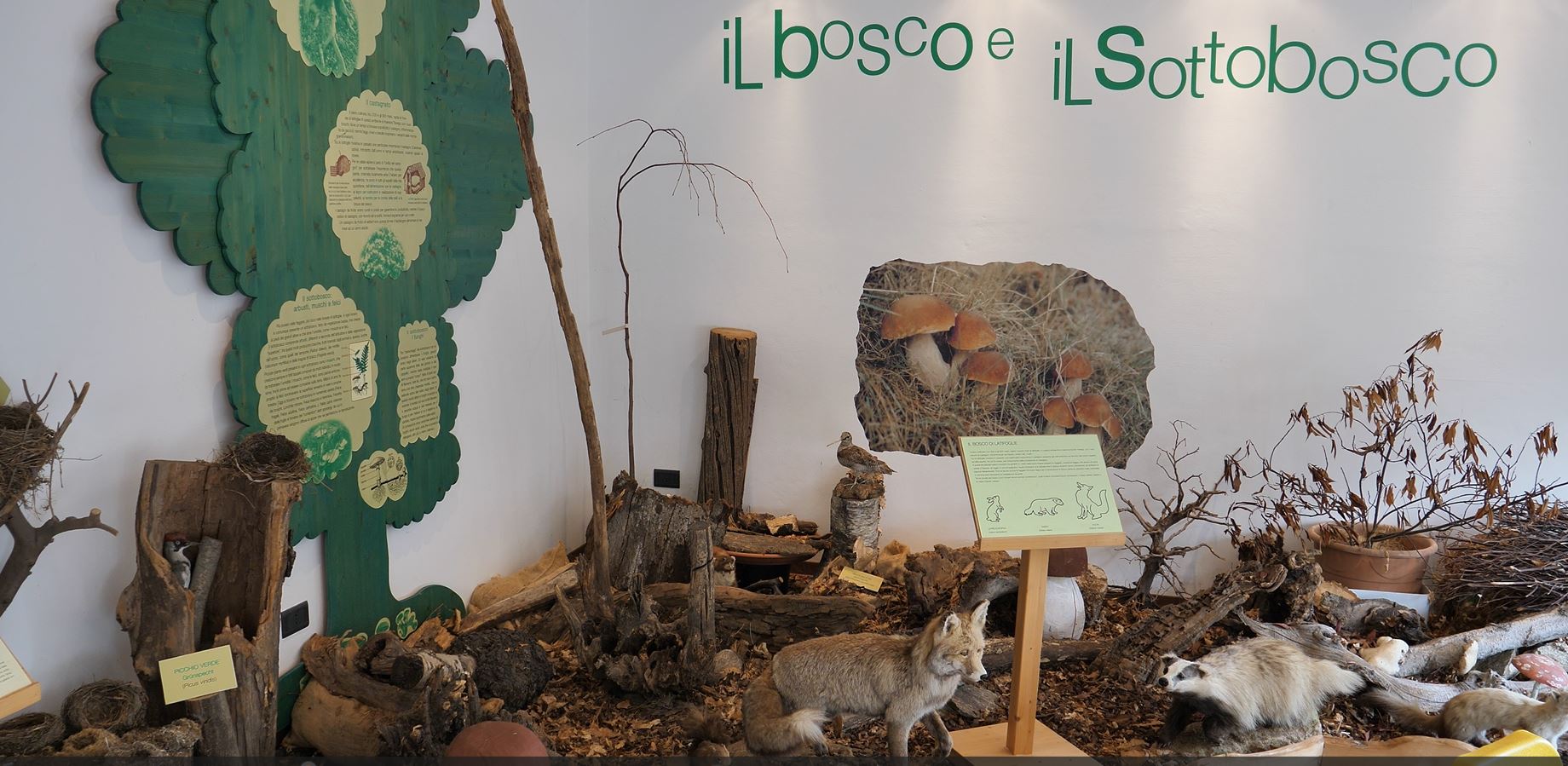 Il Museo Tattile di Trarego Viggiona compie 20 anni e per l’occasione vedrà un completo rinnovo all'insegna dell'inclusività
