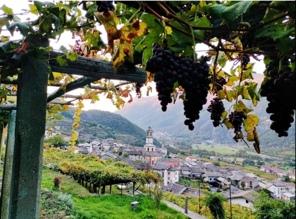 21 ottobre, con Ais una serata dedicata al Carema, nebbiolo di montagna