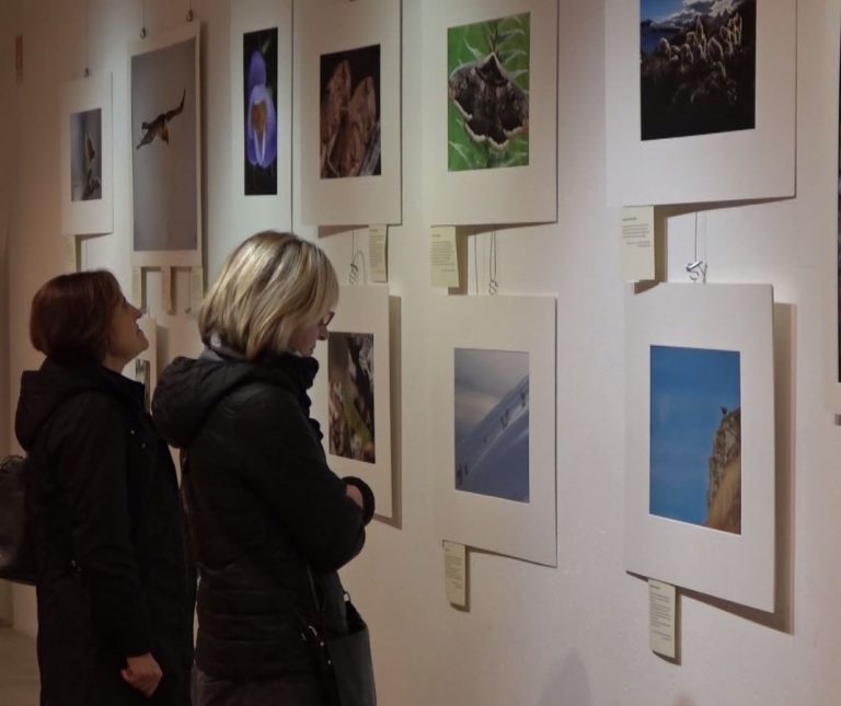 Casa Ceretti ospita la mostra “Dall’Ossola al Ticino: racconti di biodiversità'”