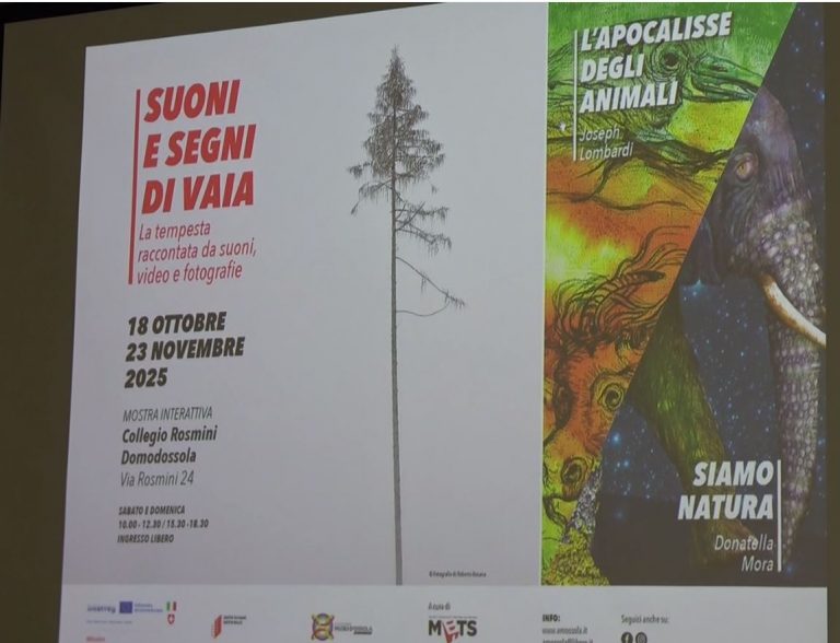 “Suoni e segni di Vaia”. Mostra al collegio Rosmini