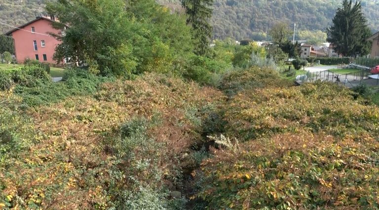 Casale Corte Cerro, minoranza chiede interventi di pulizia dei rii
