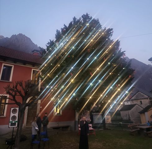 A Cuzzago l’albero che vuole illuminare le coscienze